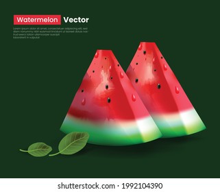 Watermelon realistic vector design concept 