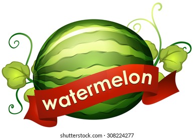 Watermelon with red banner  illustration