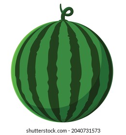 watermelon with red flesh is halved isolate white background