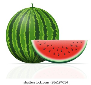 watermelon ripe juicy vector illustration isolated on white background