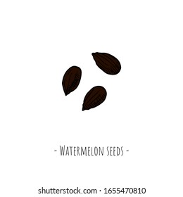 Watermelon seeds. Hand-drawn isolated objects on a white background. Vector cartoon illustrations.