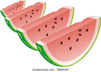 Water-melon segment