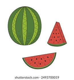 Watermelon set. Hand drawn colored vector illustration of watermelon plant, whole fruit, half, slice. Food and drink, harvest. Design element for paper, card, label, wrapping, logo, icon