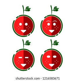 watermelon set icon