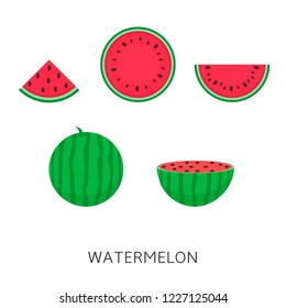 Watermelon set isolated.Vector illustration vegan concept