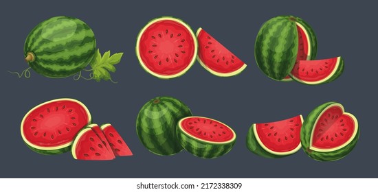 Watermelon set vector illustration. Cartoon isolated whole ripe vitamin big berry and cut in half, exotic raw watermelon fruity snack for kids, fresh slices with peel to eat sweet fruit dessert