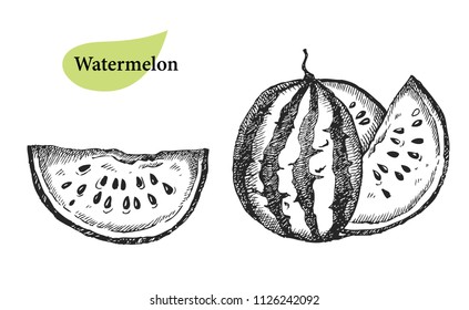 Watermelon set.Hand drawn fruit collection  isolated on white. Can be used for vegan products, brochures, banner, restaurant menu, farmers market and organic food store
