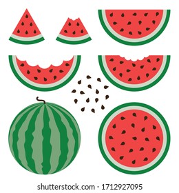 Watermelon signs vector set of colorful half, slice and whole of juice . Fresh cartoon berry isolated on white background.