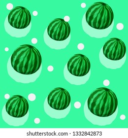 Watermelon simple color illustrations
