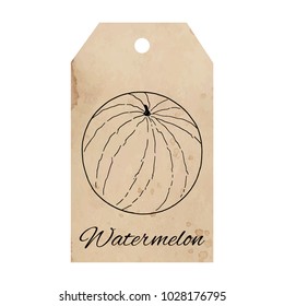 Watermelon sketch on vintage old paper tag background, old aged paper, retro labels for special design of packaging, product label, logo, scrapbook, etc. Spilled coffee stain, brown beige color.