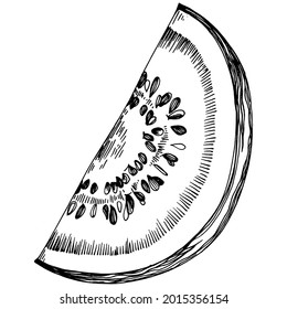 Dibujo vectorial de la sandía. Berry dibujada a mano aislada sobre fondo blanco. Ilustración de estilo de berry de verano grabada. Decoración para los empaques.