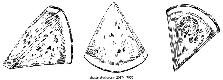 Watermelon sketch vector drawing. Isolated hand drawn berry on white background. Summer berry engraved style illustration. Decoration for food packaging.