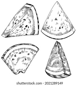 Watermelon sketch vector drawing. Isolated hand drawn berry on white background. Summer berry engraved style illustration. Decoration for food packaging.