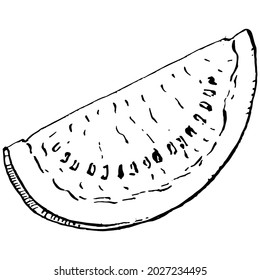 Dibujo vectorial de la sandía. Berry dibujada a mano aislada sobre fondo blanco. Ilustración de estilo de berry de verano grabada. Decoración para los empaques.