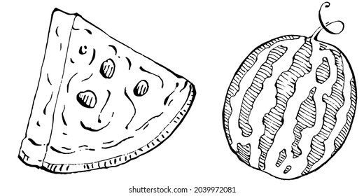 Watermelon sketch vector drawing. Isolated hand drawn berry on white background. Summer berry engraved style illustration. Decoration for food packaging.