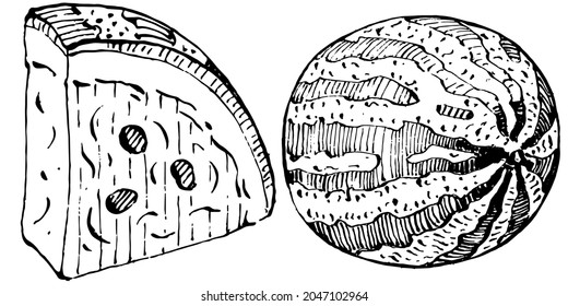 Dibujo vectorial de la sandía. Berry dibujada a mano aislada sobre fondo blanco. Ilustración de estilo de berry de verano grabada. Decoración para los empaques.