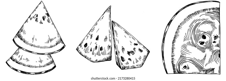 Watermelon sketch vector drawing. Isolated hand drawn berry on white background. Summer berry engraved style illustration. Decoration for food packaging.