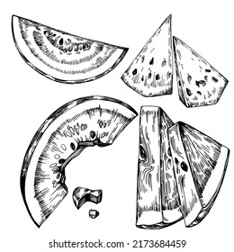 Watermelon sketch vector drawing. Isolated hand drawn berry on white background. Summer berry engraved style illustration. Decoration for food packaging.
