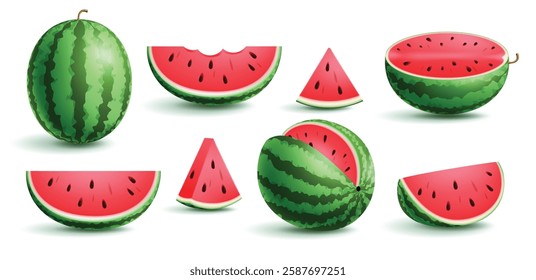 Watermelon slice clipart set. Summer watermelon fruit sweet and tasty in whole, half and quarter cut clip art collection for holiday season juicy dessert vector illustration.