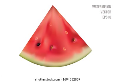 Watermelon slice eps 10. Fresh fruit, realistic vector illustration, icon. 