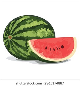 Realismo de la ilustración del vector fresco de la sandía