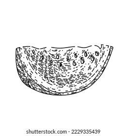 watermelon slice hand drawn vector. summer melon, fruit water, red green, food juicy, fresh juice, part watermelon slice sketch. isolated black illustration