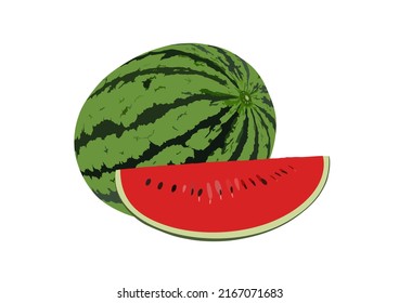 Watermelon with slice isolated on white background, illustration.