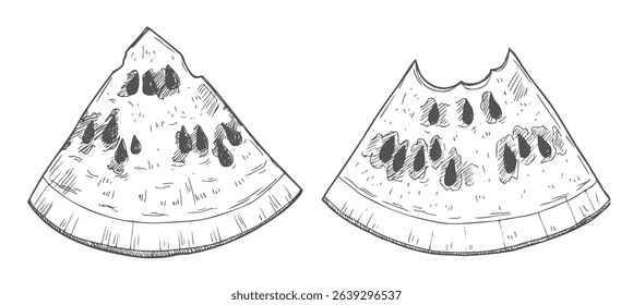 Watermelon slice isolated on white background. Hand-drawn ink illustration in retro engraving style. Detailed vector drawing.