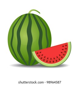 Watermelon and slice, isolated on white background. Vector illustration