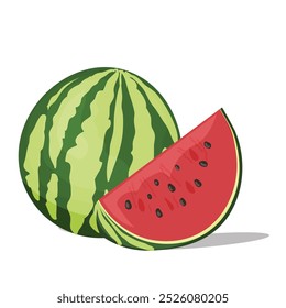watermelon and slice isolated. vector illustration. 