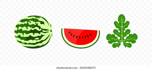 Melancia e melancia fatia com folhas, design gráfico. Frutas, bagas, bagas, alimentos e refeição, design vetorial e ilustração