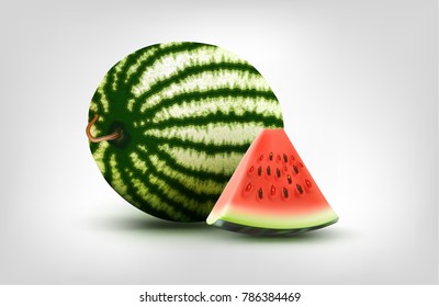 Watermelon and slice on isolated background. Vector EPS