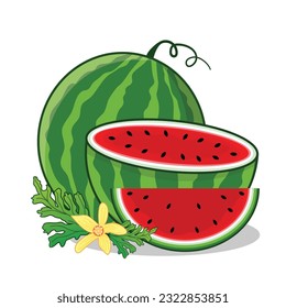 Watermelon. Watermelon slice. Watermelon ripe cartoon icon vector design illlustration wallpaper background