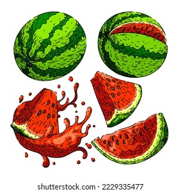 watermelon slice set hand drawn vector. melon fruit, summer red, food green, fresh juicy, water piece, cut juice watermelon slice sketch. isolated color illustration