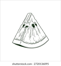 watermelon slice sketch hand drawn illustration artwork