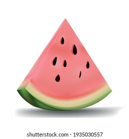 Watermelon slice, summer fruit, vector icon, on white background