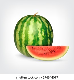 Watermelon with slice. Summer time. High quality vector. EPS10 vector