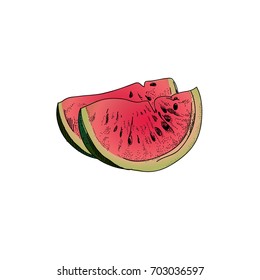 watermelon slice vector
