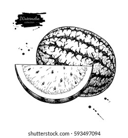 Watermelon and slice vector drawing. Isolated hand drawn berry on white background.  Summer fruit engraved style illustration. Detailed vegetarian food. Great for label, poster, print