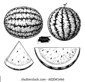 Watermelon and slice vector drawing set. Isolated hand drawn berry on white background.  Summer fruit engraved style illustration. Detailed vegetarian food. Great for label, poster, print