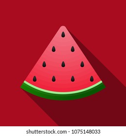 watermelon sliced fruit icon vector flat design.