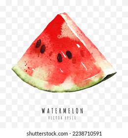 Watermelon sliced hand drawn watercolor painting isolated on white background,  Vector illustration