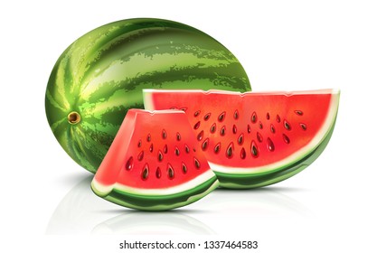 Watermelon sliced of piece isolated on white background. Realistic vector 3D illustration. Of free space for your texts and branding.