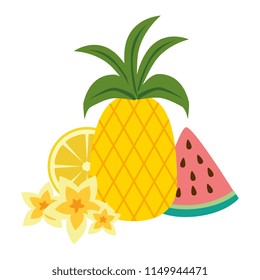 watermelon sliced with pineapple and snail shell