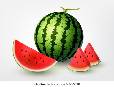 Watermelon and Sliced watermelon set, fruit vector illustration