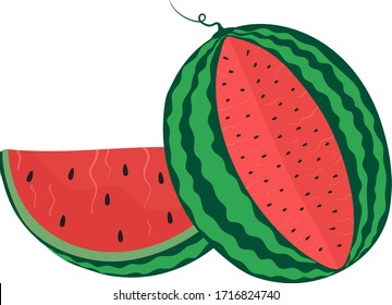 Watermelon slices, fresh summer fruit vector illustration. Natural dessert healthy vegetarian refreshment. Pieces of watermelon isolated on white organic summer fruit