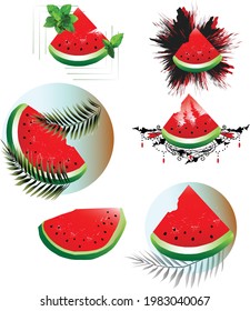 Watermelon slices on an abstract background
Tropical twigs