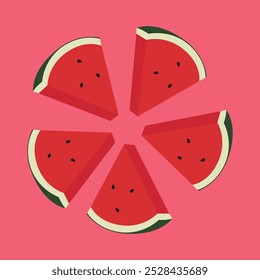 Watermelon slices in radial pattern. Vector illustration of red watermelon isolated on white background, vector illustration on white background.