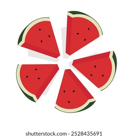 Watermelon slices in radial pattern. Vector illustration of red watermelon isolated on white background, vector illustration on white background.