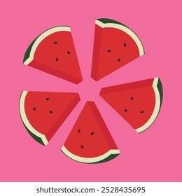 Watermelon slices in radial pattern. Vector illustration of red watermelon isolated on white background, vector illustration on white background.